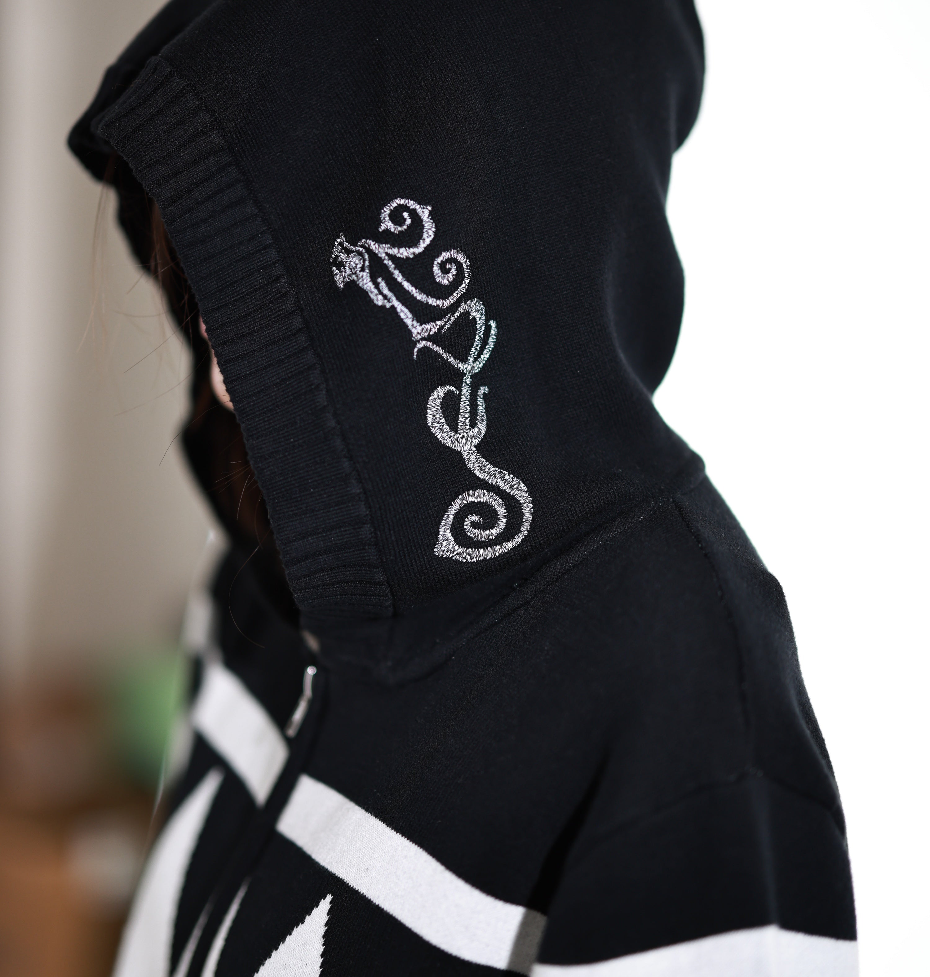 Draken Hoodie