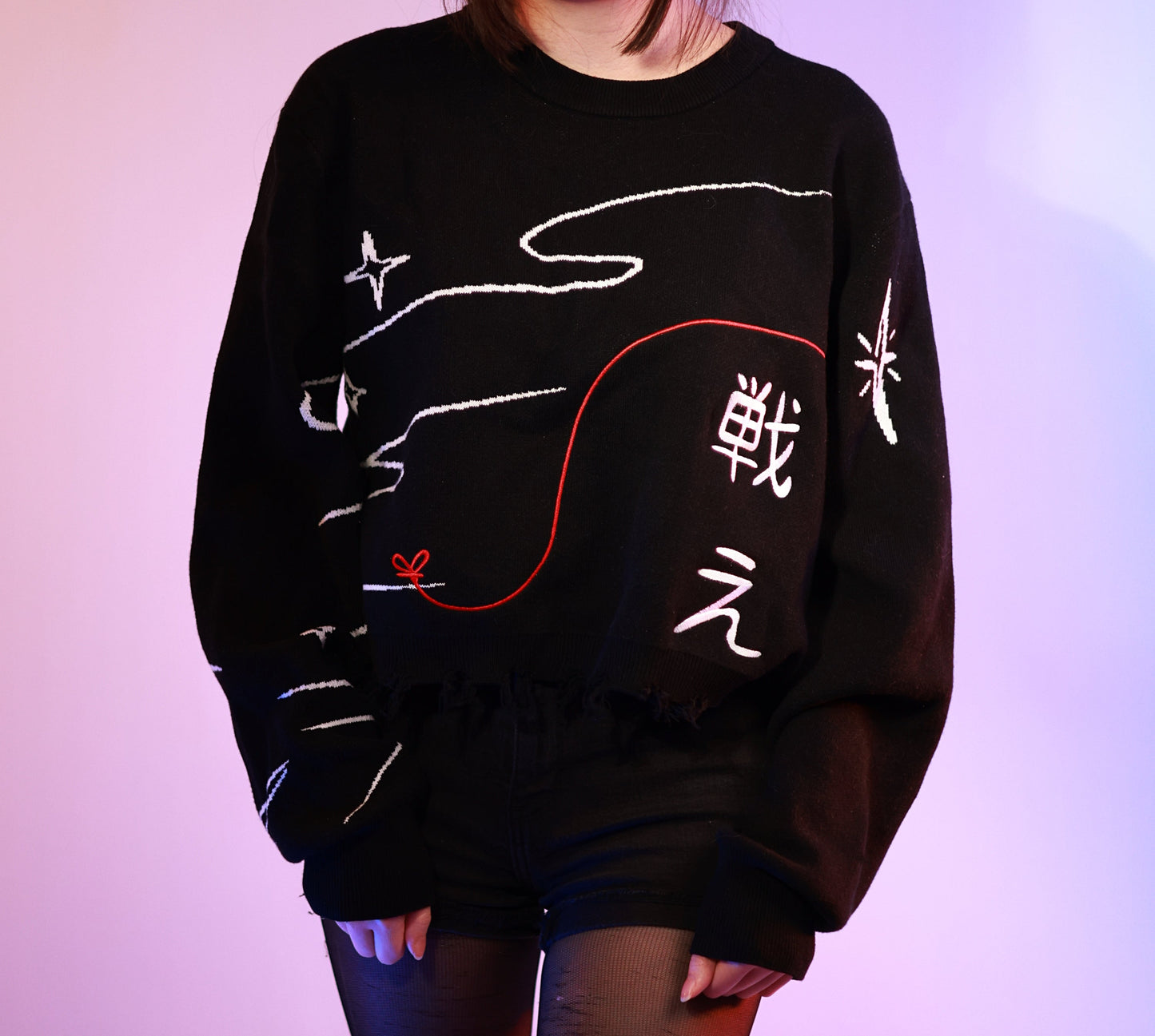 Mikasa Crop Sweater Preorder